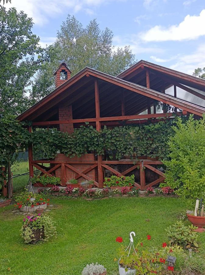 Narcisz B&B Корунд Экстерьер фото